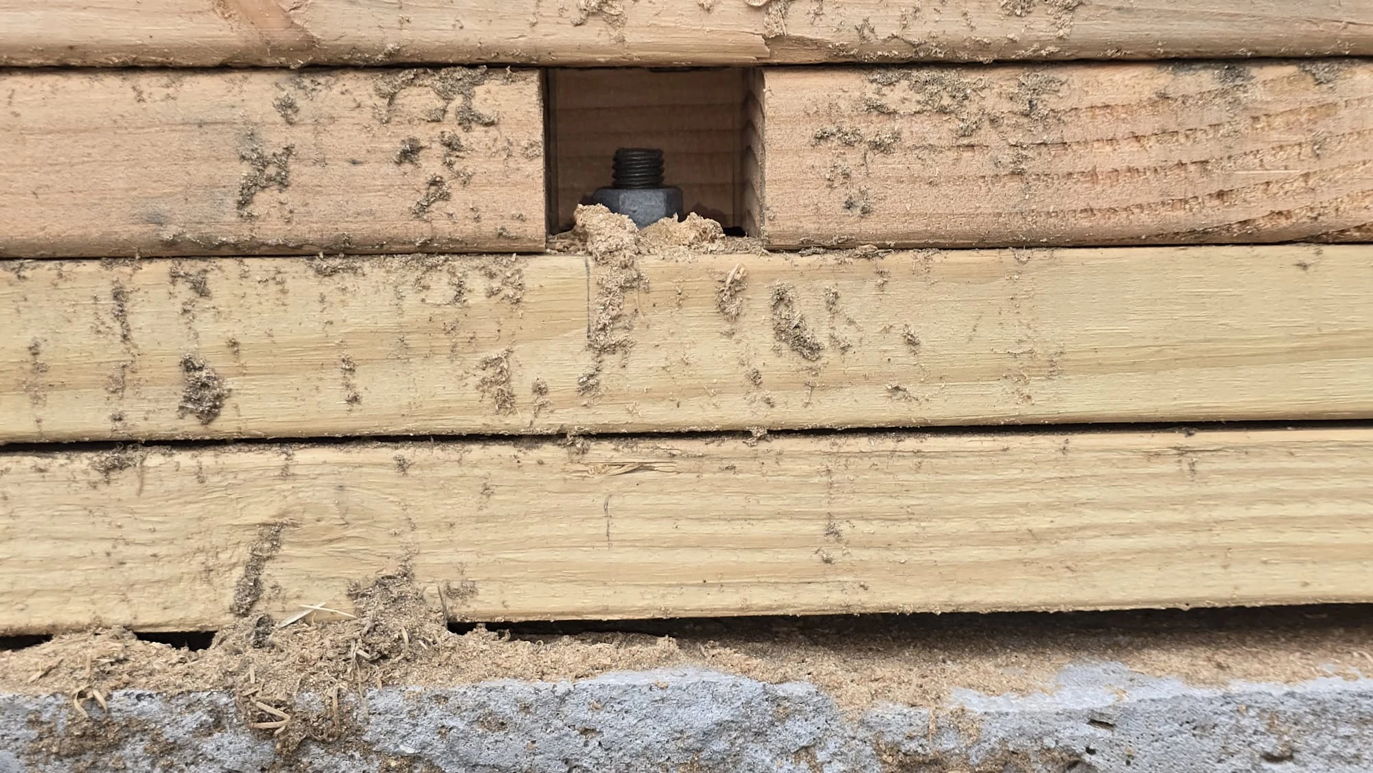 Wood Sill Plate — Pest Damage & Gap